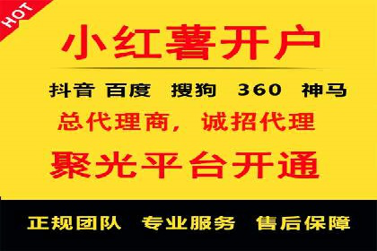 百度竞价包年推广策略——某行业巨头的成功经验
